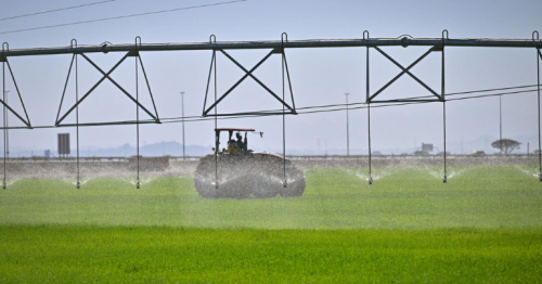 Saba Sanabel: Sharjah's Wheat Revolution