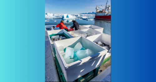 Arctic Elegance: Pure Glacier Ice Lands in Dubai