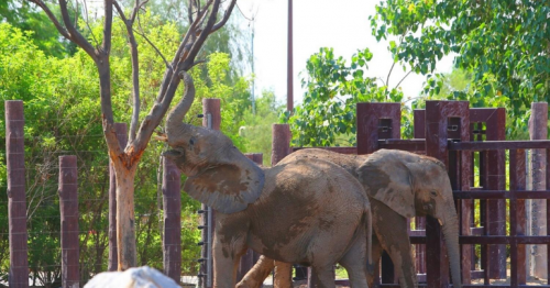  Dubai: 3 Major Family Attractions Closing for Summer 2024