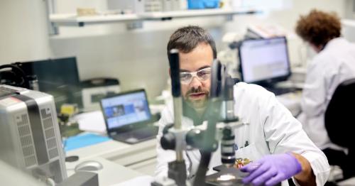 Smoking fewer cigarettes not enough to reduce harm caused by smoking