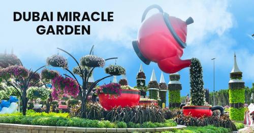 Dubai Miracle Garden: A 150-Million-Petal Dreamscape 