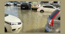 Employees ask to work from home as vehicles remain submerged in parking lots