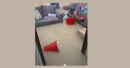 UAE Residents Extend Helping Hand to Flood-Hit Sharjah Children, Restoring Hope