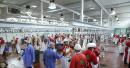 Eid Al Adha in UAE: 11 slaughterhouses ready for Qurbani sacrificing in Al Ain