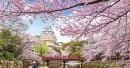 UAE citizens in Japan can extend visa-free stay to 90 days from July 1