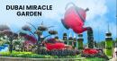 Dubai Miracle Garden: A 150-Million-Petal Dreamscape 