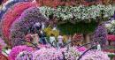 Dubai Miracle Garden announces Dh30 resident entry 