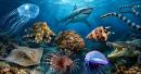 The Most Dangerous Marine Creatures in the World: What Swimmers and Divers Should Know