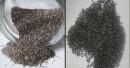 Chia Seeds vs Sabja Seeds for Weight Loss: Which One Should You Choose?
